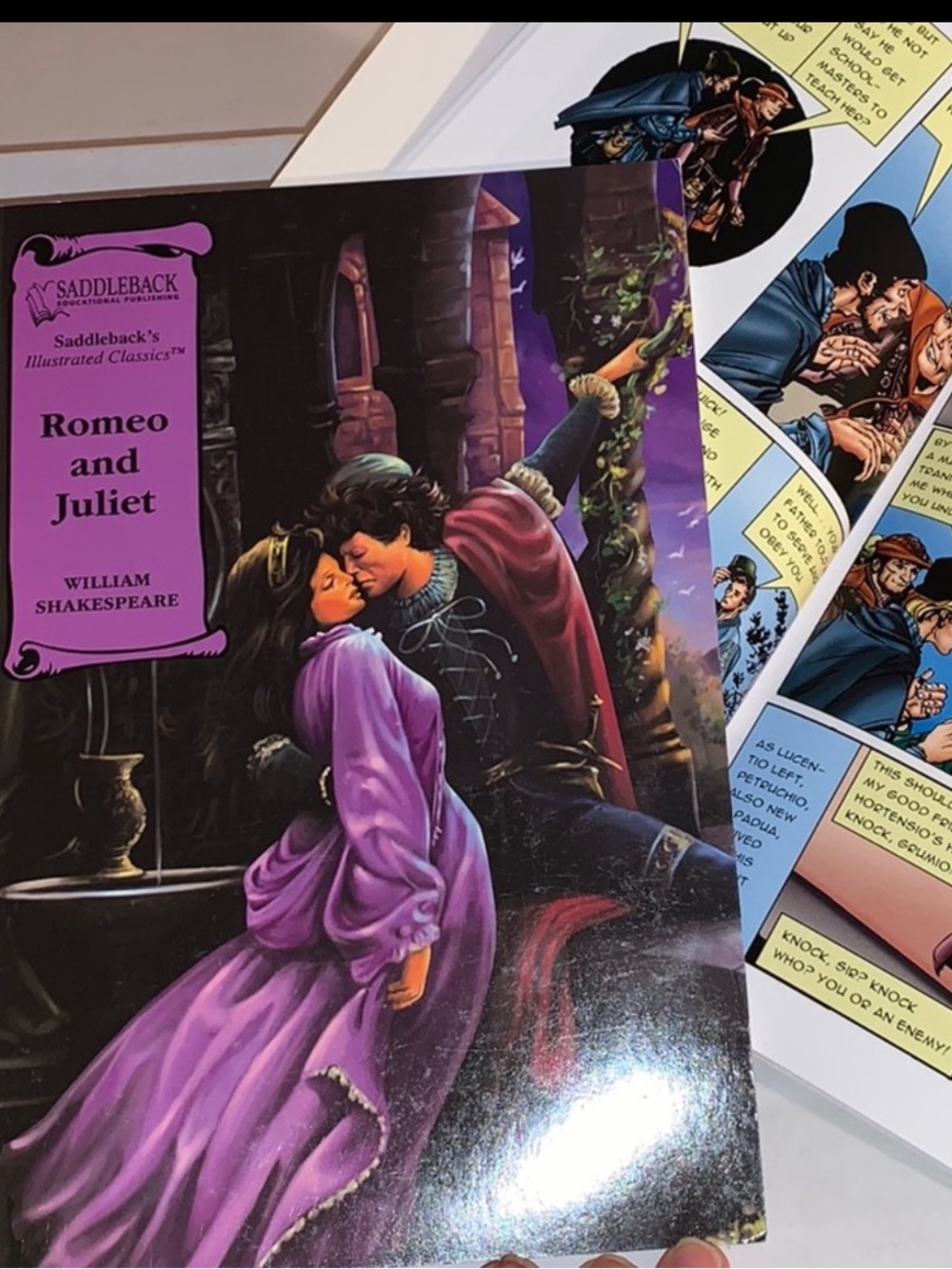 Home school Shakespeare Taming of the shrew set of 2 graphic text